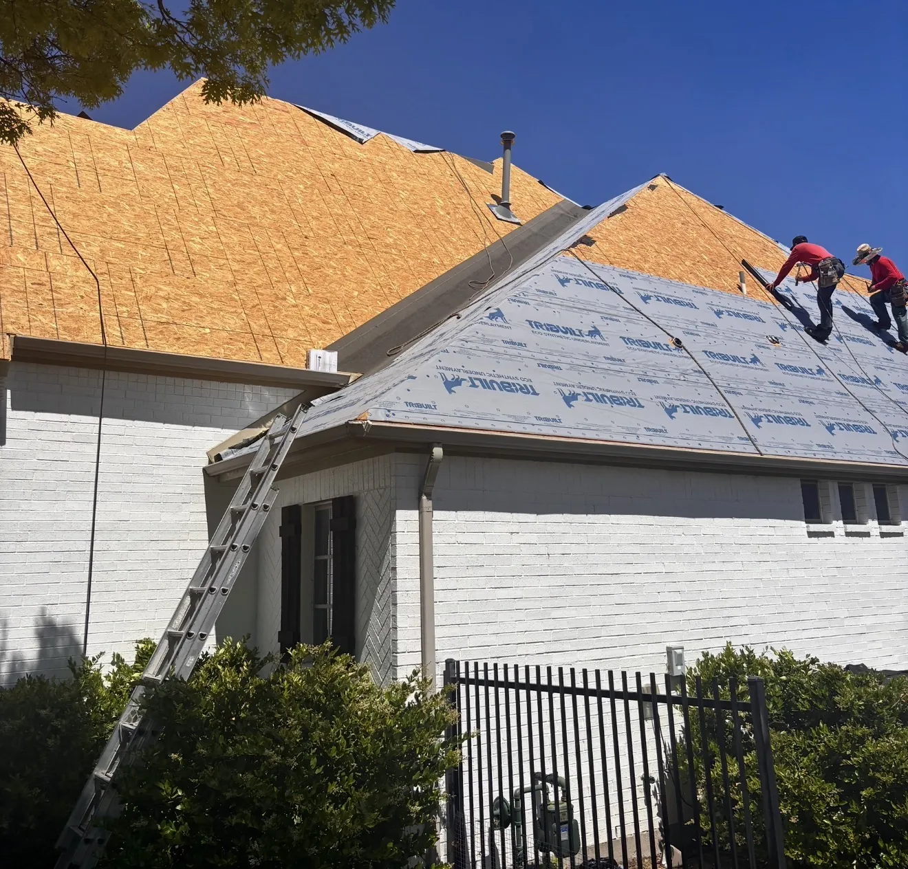 Synthetic underlayment going down over fresh decking, with the crew's ladder still set against the brick